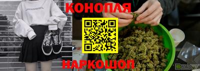 прущие грибы Ирбит