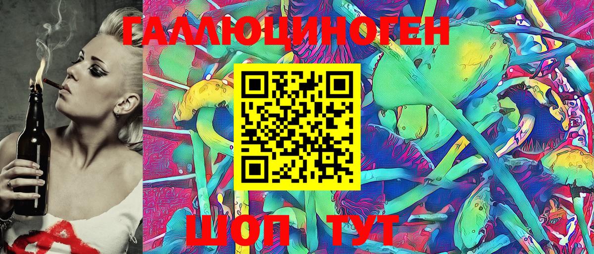 Псилоцибиновые грибы Psilocybe  Вход с VPN  Бузулук 