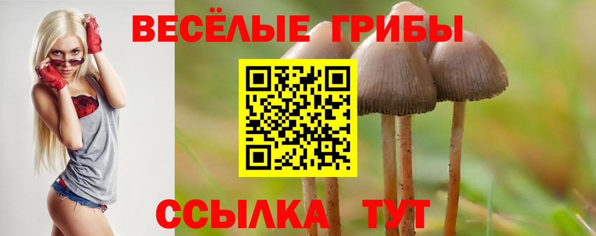 Псилоцибиновые грибы прущие грибы Бузулук